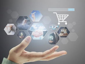 2019年兩大商機 互聯(lián)網(wǎng)信息服務助力普通人收入翻倍增長